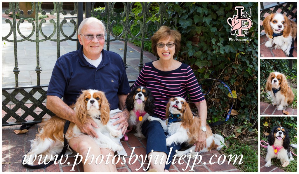 Couple with Three Dogs