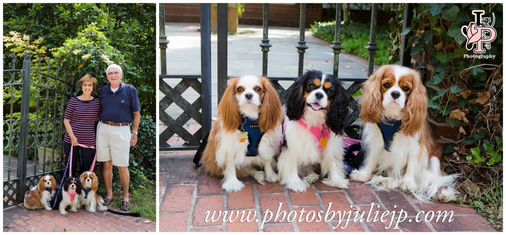 Couple with Three Dogs